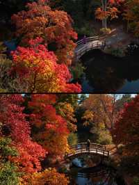 秋天的調色盤打翻在雲平山|小眾秘境等你來探