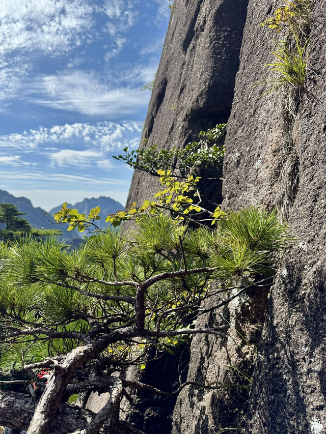 🇨🇳중국여행 가을에 등산하기 좋은 황산🏞️ 🇨🇳중국여행 가을에 등산하기 좋은 황산🏞️