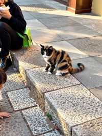 沙溪古鎮｜雲南最後的世外桃源