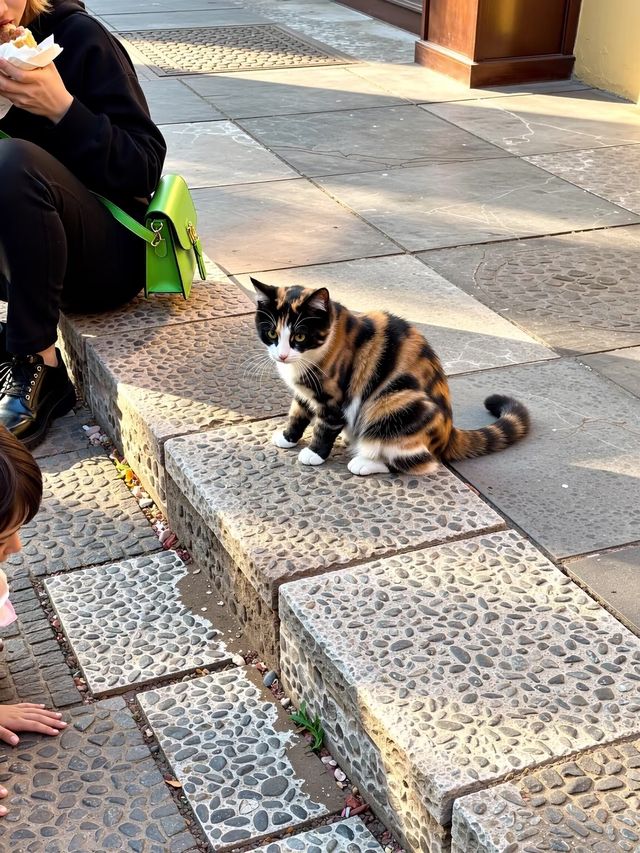 沙溪古鎮｜雲南最後的世外桃源