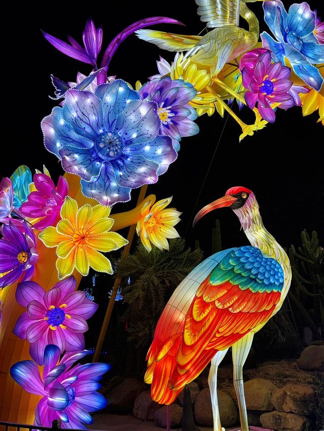 廈門夜遊頂流！園博苑花燈每週末限定浪漫