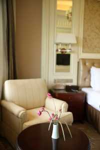 遁入鯉魚洲,邂逅一場山水夢境