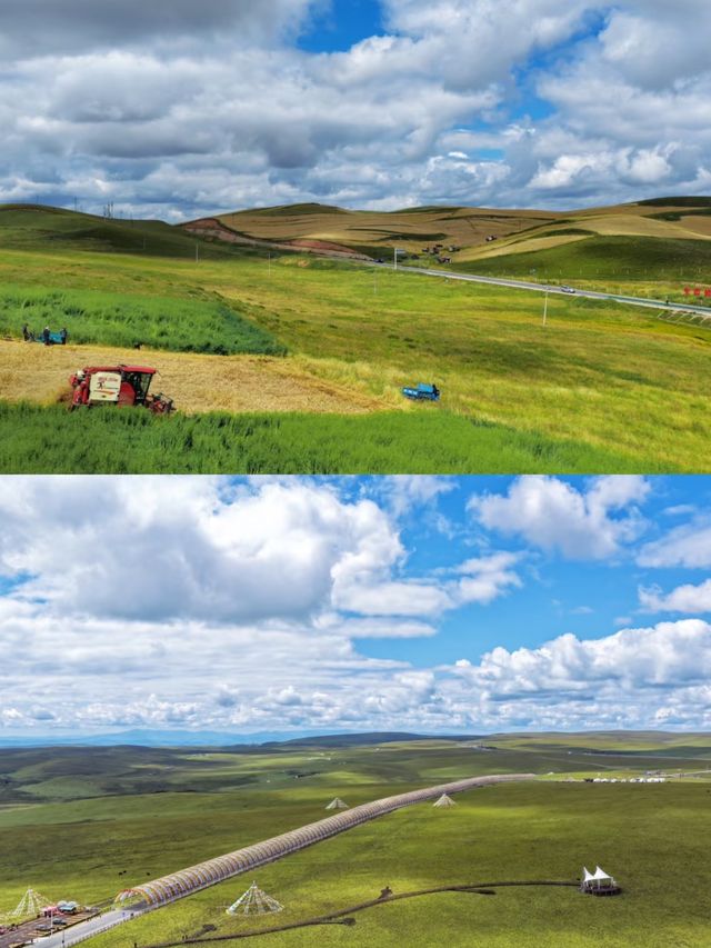 探秘甘南藏族自治州美仁大草原！