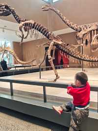 我認證過的全國最好的自然博物館