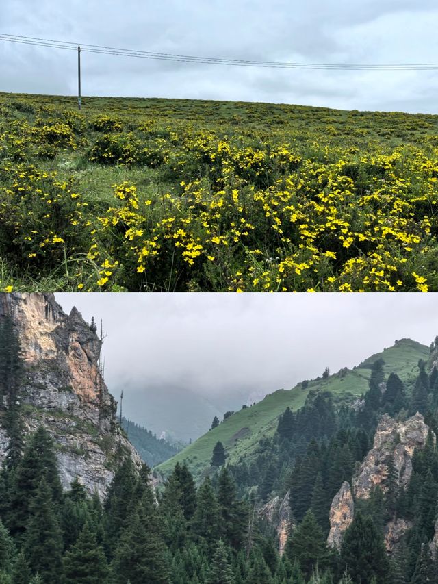 則岔石林,甘南的一顆璀璨明珠,等你來發現 則岔石林,甘南的一顆璀璨明珠,等你來發現