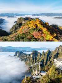 2025光霧山紅葉節，錯過等一年！