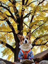 快來打卡！溫州神秘東爐村