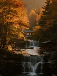 帶娃衝光霧山紅葉+遛娃兩不誤！