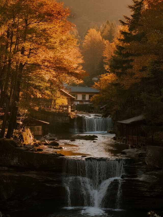 帶娃衝光霧山紅葉+遛娃兩不誤！