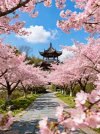 常德4日遊 | 桃花源與柳葉湖經典組合・全人群適配攻略