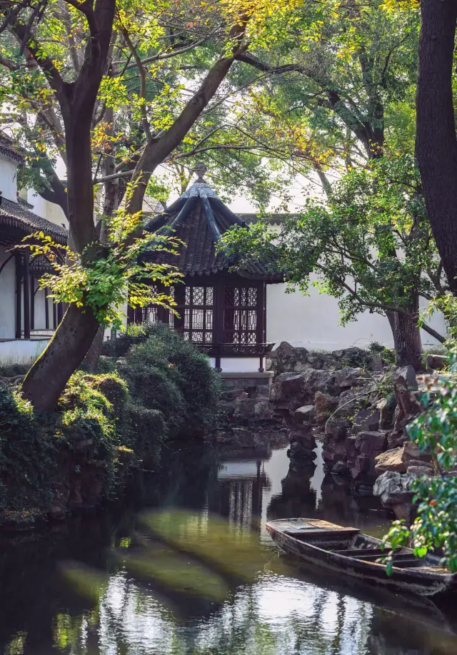Musings at the Lion Grove Garden