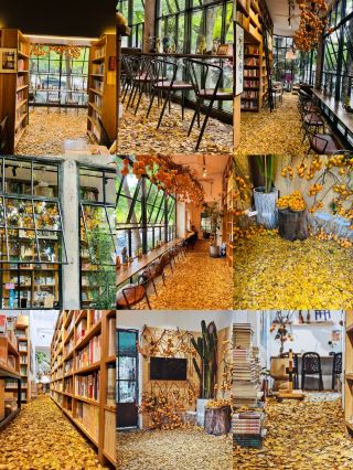 How to spend an artfully full autumn afternoon in Foshan?