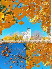 秋日煙台必住海景房