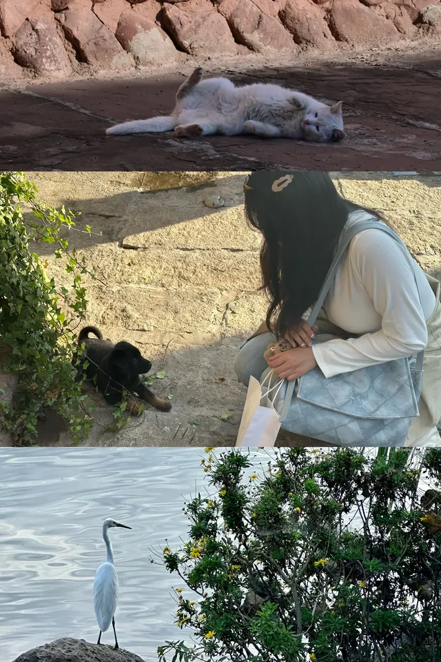 淡季來逛西昌真嘟很舒服