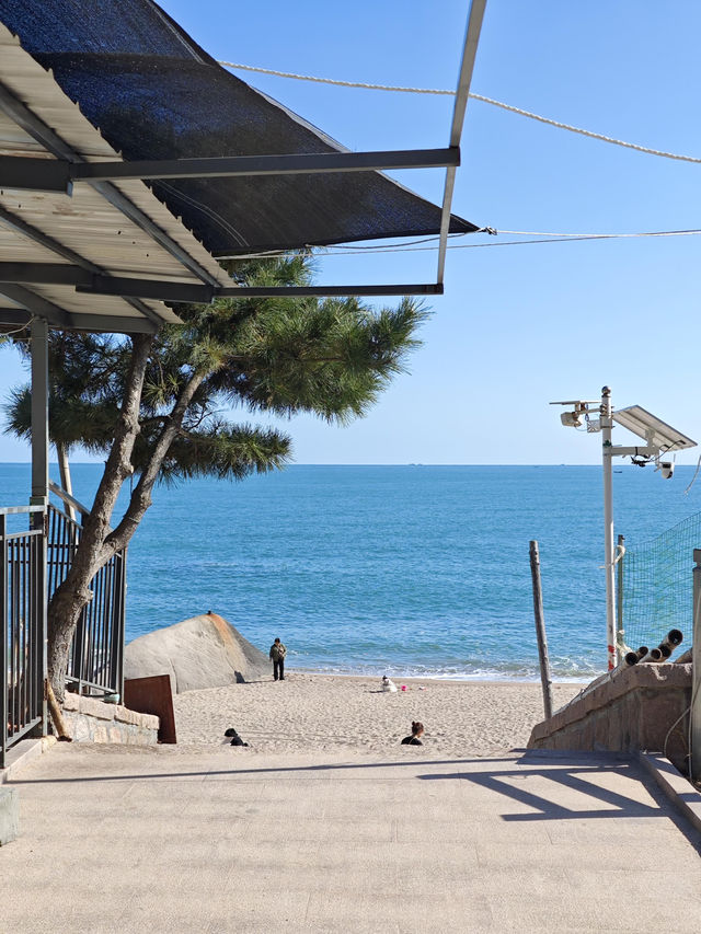 青島最美山海公路!618路環海攻略來啦 青島最美山海公路!618路環海攻略來啦