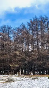 太原周邊｜把生活調成治癒模式