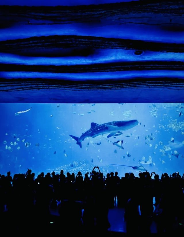 帶爸媽必收藏！寧波出發3h直達暖冬勝地