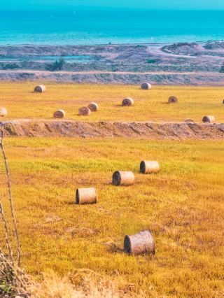 這裡顛覆你對山東的想像！！！