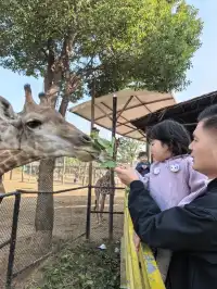 湖州龍之夢遛娃記|把假期過成沉浸式童話