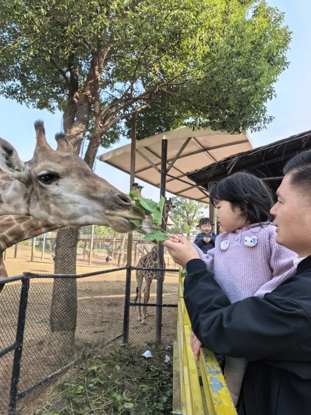 湖州龍之夢遛娃記|把假期過成沉浸式童話 湖州龍之夢遛娃記|把假期過成沉浸式童話
