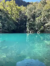 貴州小七孔-貴陽單日往返攻略必看