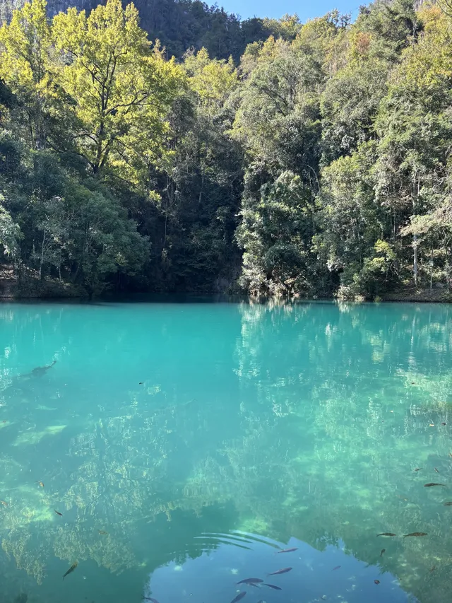 貴州小七孔-貴陽單日往返攻略必看