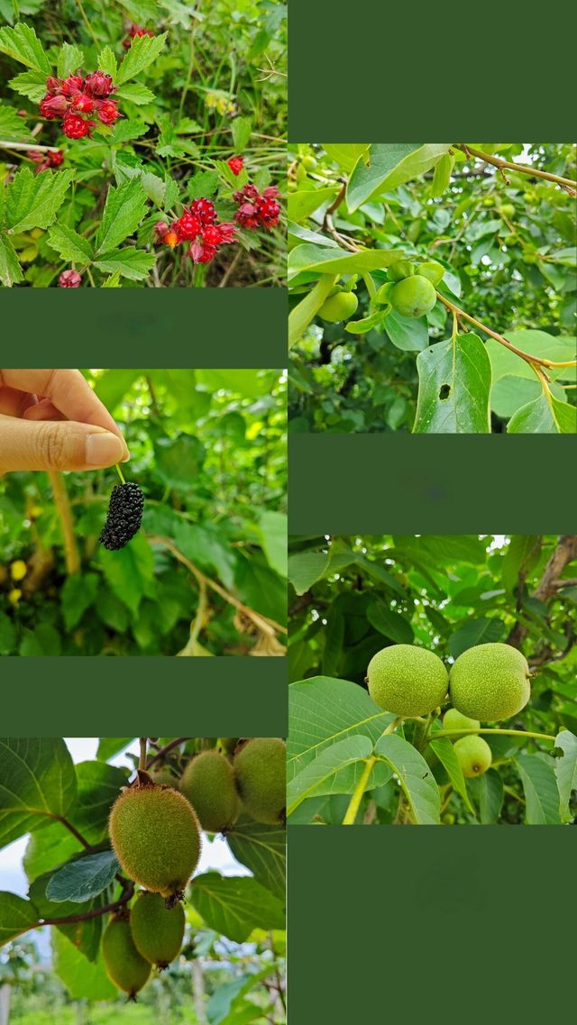 藏在城市裡的煙火秘境