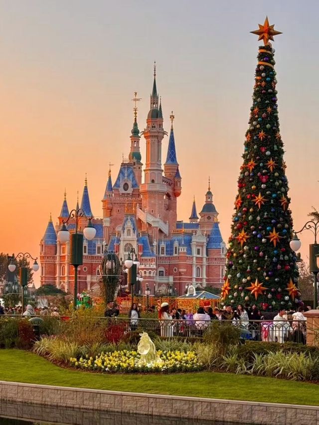 迪士尼暴走2.5萬步：快樂藏在細節裡