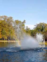 超全攻略!冬日共青森林公園賞秋絕了