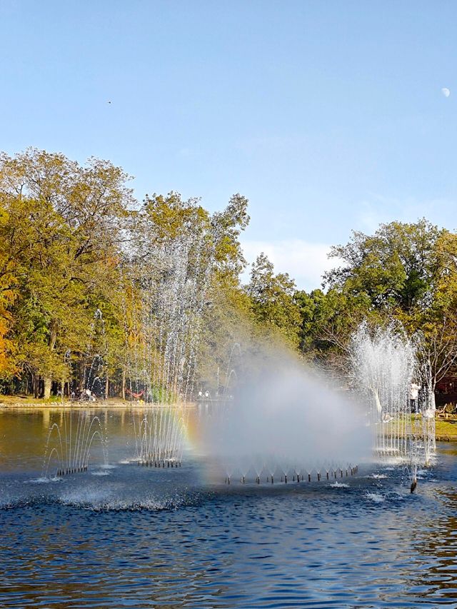 超全攻略!冬日共青森林公園賞秋絕了 超全攻略!冬日共青森林公園賞秋絕了