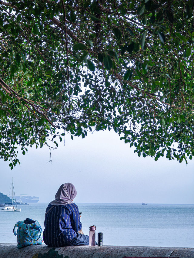 赤柱端午漫遊｜龍舟賽+海濱超熱鬧