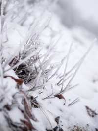 九寨初冬丨是天地緩緩展開的一幅山水留白