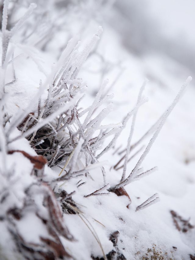 九寨初冬丨是天地緩緩展開的一幅山水留白