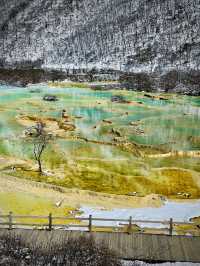 天上瑤池,人間黃龍