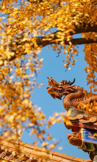 武漢で最も古い寺院｜宝通禅寺での一日禅心の旅