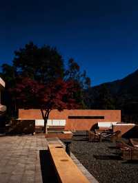 安吉隱世新坐標|竹林泳池邂逅星空