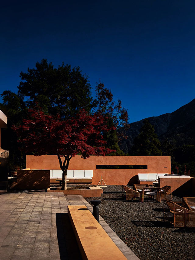 安吉隱世新坐標|竹林泳池邂逅星空 安吉隱世新坐標|竹林泳池邂逅星空