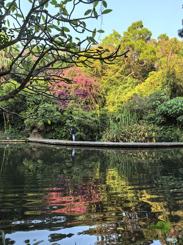 藏在深圳市中心的秘密角落,太美啦! 藏在深圳市中心的秘密角落,太美啦!