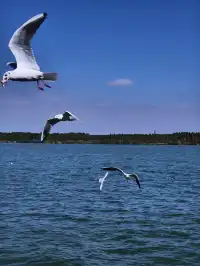 不上班，去昆明追風