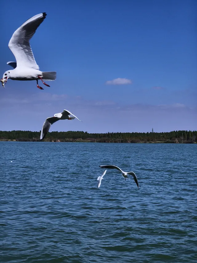 不上班，去昆明追風