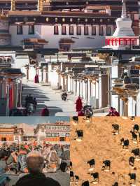 誰懂南方人第一次到甘肅的震撼