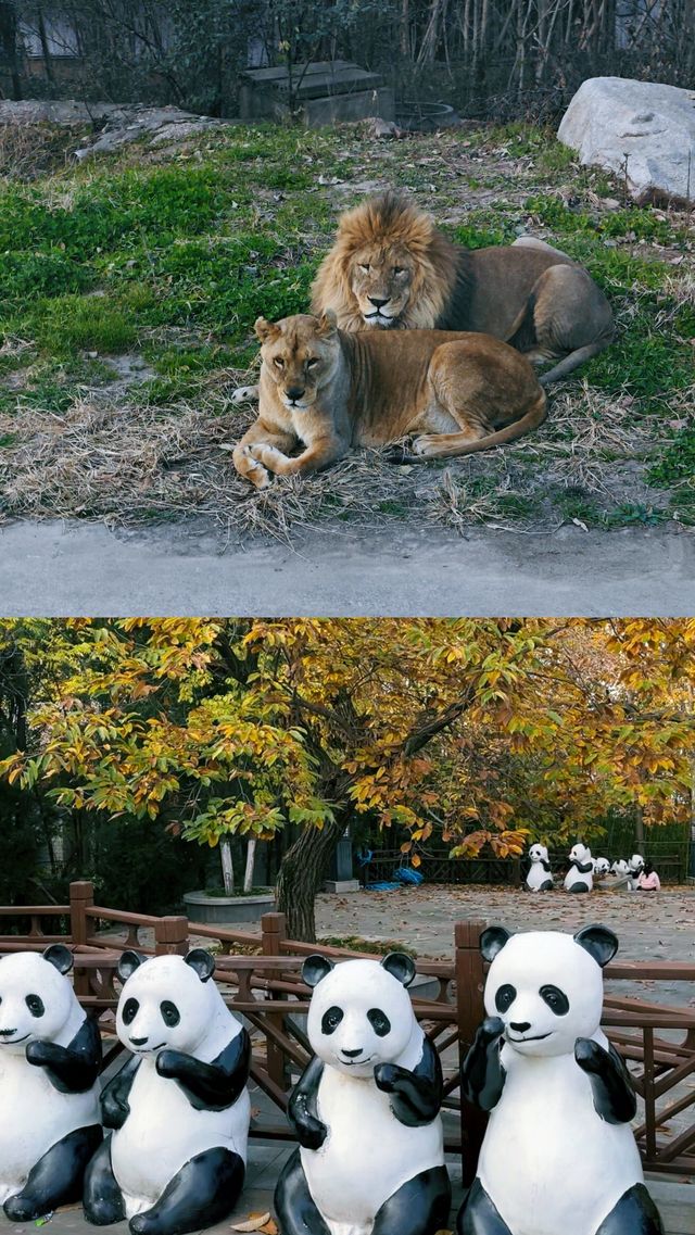 秦嶺山下的動物王國!人均150元玩轉自然野趣 秦嶺山下的動物王國!人均150元玩轉自然野趣