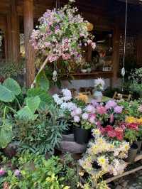 拾錦造物室內空間大賞🪔