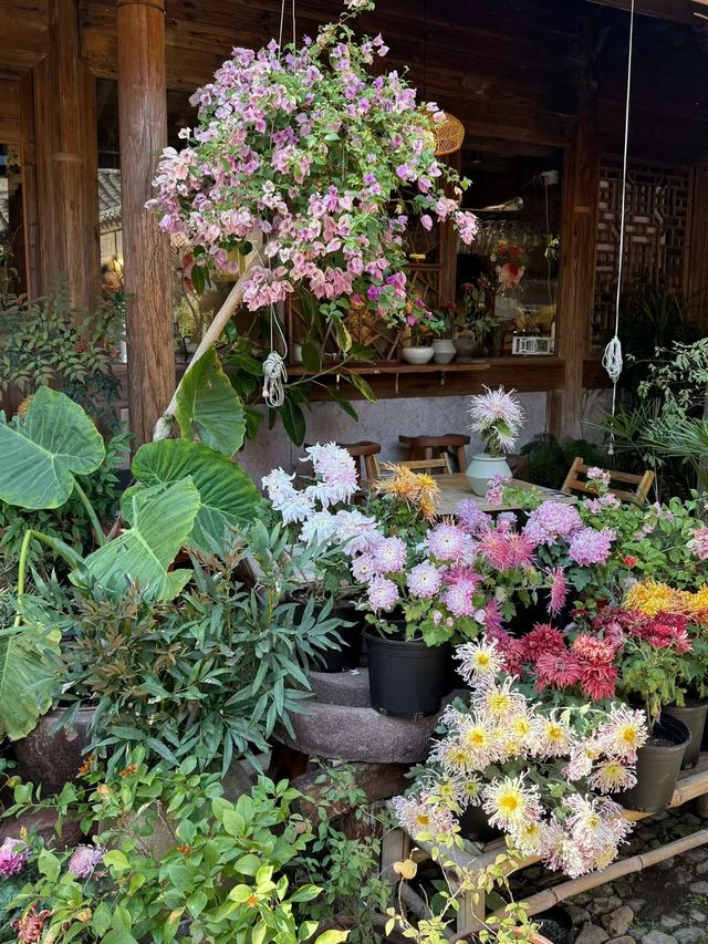 拾錦造物室內空間大賞🪔