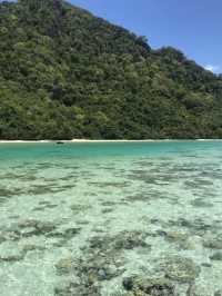 馬來西亞的隱世海島馬達京島也太絕了吧！這個小眾天堂不僅有果凍海、白沙灘，還有超震撼的珊瑚群，簡直是