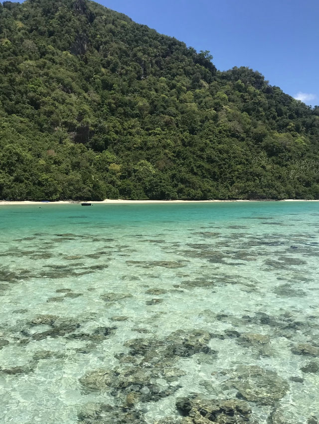 馬來西亞的隱世海島馬達京島也太絕了吧！這個小眾天堂不僅有果凍海、白沙灘，還有超震撼的珊瑚群，簡直是