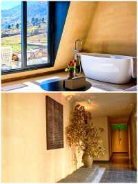 麗江版宮崎駿世界！這家雪山野奢酒店也太治癒了吧