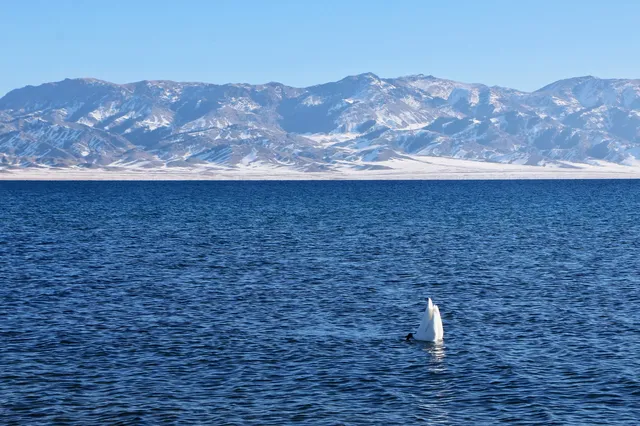博爾塔拉｜回到賽里木湖