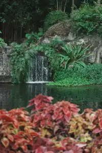 廈門植物園｜又是能量滿滿的一天！