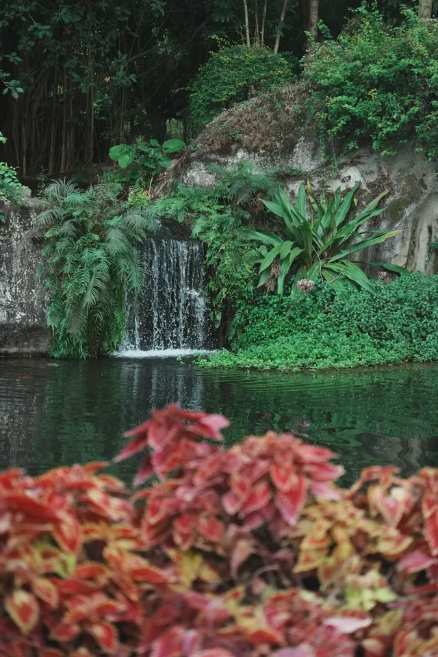 廈門植物園｜又是能量滿滿的一天！
